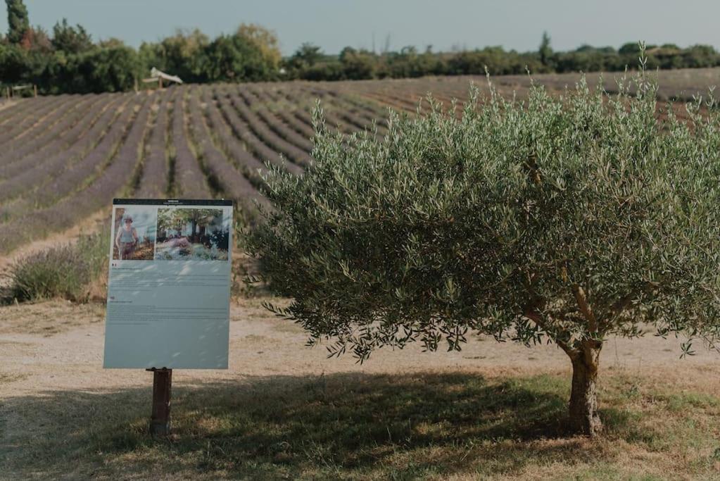 Terre Ugo - Studio Campagne Aixoise #6 Aix-en-Provence Zewnętrze zdjęcie